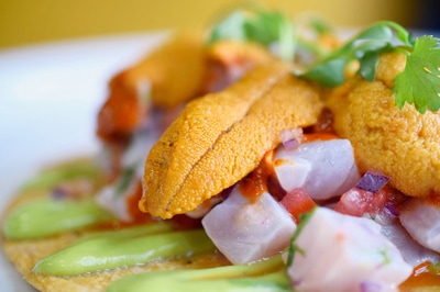 Fish ceviche on top of a corn tostada and uni